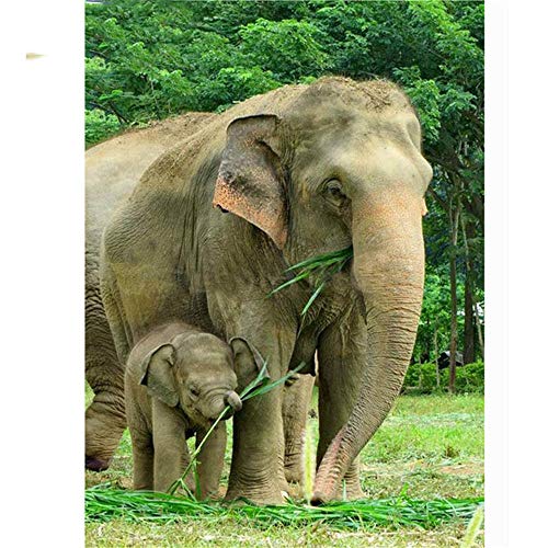 Puzzle 200 Teile Welpenpuzzle, Zwei Elefanten, 200 Teile Spielpuzzles für Erwachsene Kinder, Geschicklichkeitsspiel für die ganze Familie, Bunt 35x25CM von CUREW