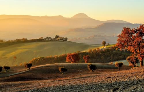 Puzzle 200 Teile für Erwachsene, Puzzle für Erwachsene, 200-teiliges Lernpuzzle, Bäume, 35 x 25 cm von CUREW