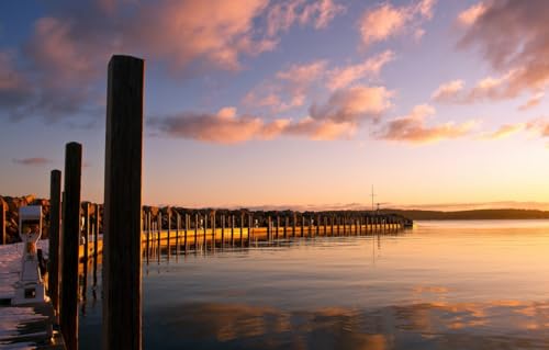 Puzzle 200 Teile für Erwachsene – Puzzle für Erwachsene | Puzzle für Erwachsene, Landschaft, Pier 35 x 25 cm Puzzle 200 Teile für Erwachsene – Puzzle für Erwachsene | Puzzle für Erwachsene, Landschaft, Pier 35 x 25 cm von CUREW