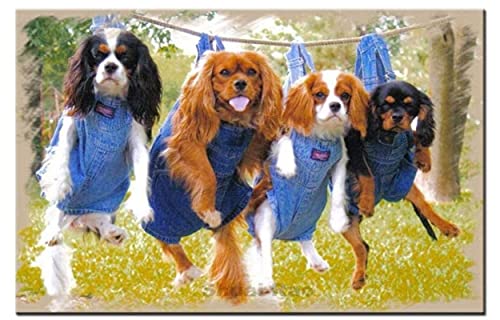 Puzzle 500 Teile Cavalier King Charles Spaniel Hunde Lustiges Haustierposter Spielzeug für Erwachsene und Kinder Dekompressionsspiel für Kinder Weihnachten Geburtstag 52x38CM von CUREW