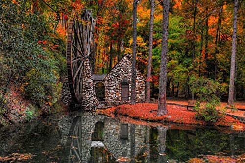 Puzzle 500 Teile für Erwachsene, Puzzle-Sets für die Familie, Lernspiele – Herbstwald, Fluss, Wassermühle, 52 x 38 cm Puzzle 500 Teile für Erwachsene, Puzzle-Sets für die Familie, Lernspiele – Herbstwald, Fluss, Wassermühle, 52 x 38 cm von CUREW