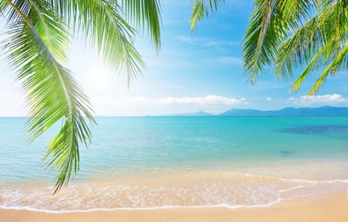 Puzzle 500 Teile für Erwachsene, schwierige Puzzles für Frauen und Männer, Premium, Meer, Landschaft, tropischer Strand, 52 x 38 cm von CUREW