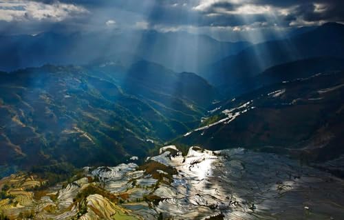 Puzzle 500 Teile für Erwachsene – Puzzles für Erwachsene | Puzzles für Erwachsene, Berge, China, Terrassen, Reisfelder, Kreis Yuanyang, 52 x 38 cm von CUREW