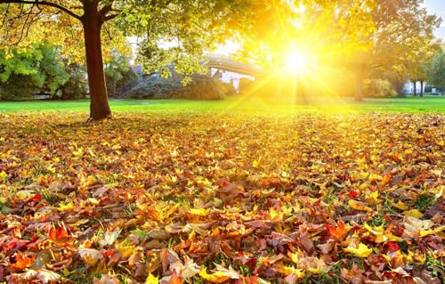 Puzzle aus Fotos, 100 Teile, für Erwachsene und Jugendliche, personalisiertes Puzzle, Bäume, Landschaft, 45,5 x 35,5 cm von CUREW