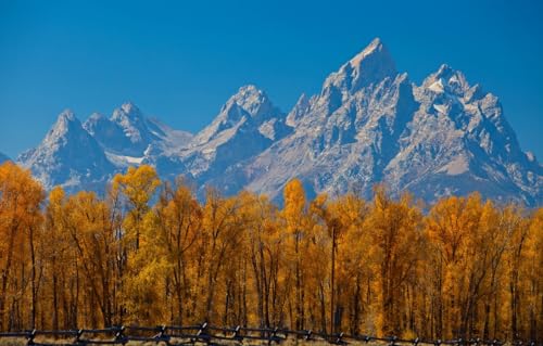 Puzzle für Erwachsene, 100 Teile, Puzzles, Familienspiele, DIY-Geschenk, Wanddekoration für Zuhause, Bäume, Berge, Zaun, 45,5 x 35,5 cm Puzzle für Erwachsene, 100 Teile, Puzzles, Familienspiele, DIY-Geschenk, Wanddekoration für Zuhause, Bäume, Berge, Zaun, 45,5 x 35,5 cm von CUREW