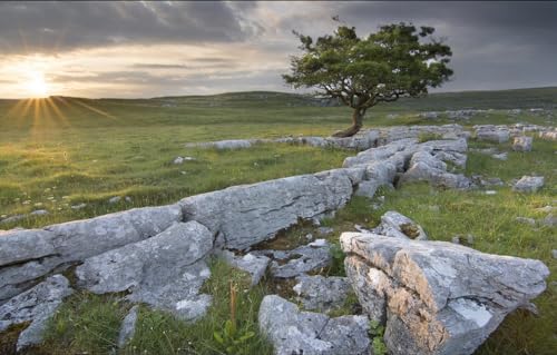 Puzzle für Erwachsene, 1000 Teile, Holzpuzzle, Kunstwerk, Puzzle, Wanddekoration, einzigartige Geburtstagsgeschenke, Feld, Landschaft, Steine, 70 x 50 cm Puzzle für Erwachsene, 1000 Teile, Holzpuzzle, Kunstwerk, Puzzle, Wanddekoration, einzigartige Geburtstagsgeschenke, Feld, Landschaft, Steine, 70 x 50 cm von CUREW