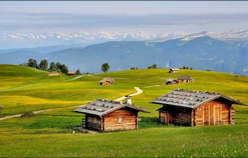 Puzzle für Erwachsene, 1000 Teile, Lernspiel, Herausforderungsspielzeug, 1000 Teile Puzzle für Erwachsene und Kinder, Bäume, Berge, Alpen, 70 x 50 cm von CUREW