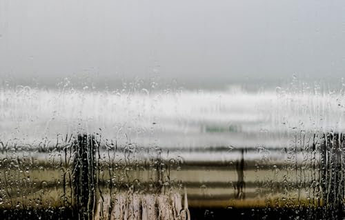 Puzzle für Erwachsene, 1000 Teile, Puzzle für Erwachsene, Puzzle 1000 Teile für Erwachsene, anspruchsvolles Spiel, Wellen, Strand, Glas, Regen, Zaun, Fenster, graue Wolken, 70 x 50 cm Puzzle für Erwachsene, 1000 Teile, Puzzle für Erwachsene, Puzzle 1000 Teile für Erwachsene, anspruchsvolles Spiel, Wellen, Strand, Glas, Regen, Zaun, Fenster, graue Wolken, 70 x 50 cm von CUREW