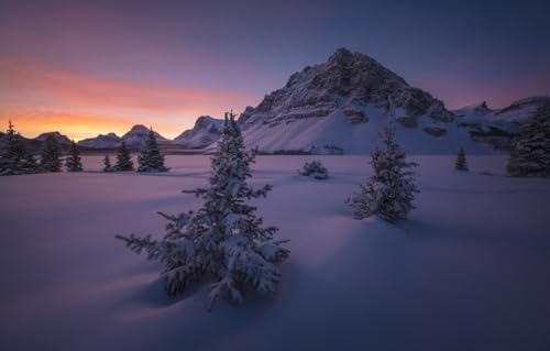 Puzzle für Erwachsene, 1000 Teile, Puzzle für Erwachsene und Kinder, Lernspiele für die ganze Familie, Geburtstagsgeschenke, Schnee, Berge, Alberta, Kanadische Rocky Mountains, 87 x 57 cm, 38 x 26 cm Puzzle für Erwachsene, 1000 Teile, Puzzle für Erwachsene und Kinder, Lernspiele für die ganze Familie, Geburtstagsgeschenke, Schnee, Berge, Alberta, Kanadische Rocky Mountains, 87 x 57 cm, 38 x 26 cm von CUREW