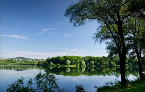 Puzzle für Erwachsene, 1000 Teile, Puzzle für Erwachsene und Kinder, Lernspielzeug, Familienspiele, Geburtstagsgeschenke für Kleinkinder, Jungen und Mädchen, Bäume, Fluss, Teich, 70 x 50 cm von CUREW