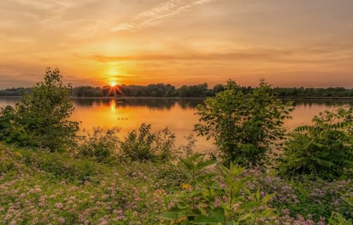 Puzzle für Erwachsene, 200 Puzzles für Erwachsene, 200 Teile Puzzle, 200 Teile Puzzle, Landschaft, 35 x 25 cm von CUREW