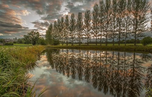 Puzzle für Erwachsene, 200 Teile, Holzpuzzle, Puzzle, Familiendekoration, Landschaft, 35 x 25 cm von CUREW