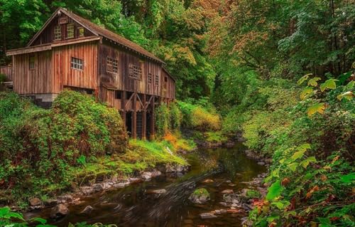 Puzzle für Erwachsene, 200 Teile, Puzzle für Erwachsene, wunderschöne Landschaft, anspruchsvolles Spiel, Geburtstagsgeschenk, Wald, Washington, Woodland, Cedar Creek Grist Mill, 87 x 57 cm, 35 x 25 cm von CUREW