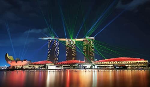 Puzzle für Erwachsene, 200 Teile, Singapore Gardens by The Bay Lights, Heimdekoration, Spielzeugspiel, tolles Lernspiel für Kinder, 35 x 25 cm von CUREW