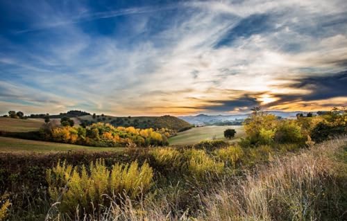 Puzzle für Erwachsene, 500 Teile, Brücken-Puzzle für Erwachsene, anspruchsvolles Spiel, Feld 52 x 38 cm von CUREW