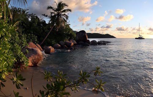 Puzzle für Erwachsene, 500 Teile, Holzpuzzle, Kunstwerk, Puzzle, Wanddekoration, einzigartige Geburtstagsgeschenke, Meer, Boot, 52 x 38 cm von CUREW