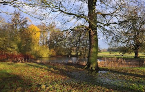 Puzzle für Erwachsene, 500 Teile, Holzpuzzle, Puzzle, Familiendekoration, Landschaft, Park, 52 x 38 cm von CUREW