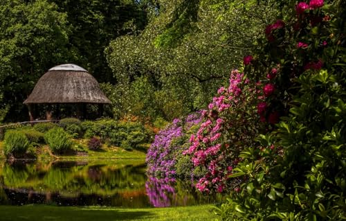 Puzzle für Erwachsene, 500 Teile, Puzzle 500 Teile für Erwachsene, Geschenke, Teich, Park, Deutschland, Pavillon, Niedersachsen, Rhododendren, Schlosspark, 52 x 38 cm von CUREW