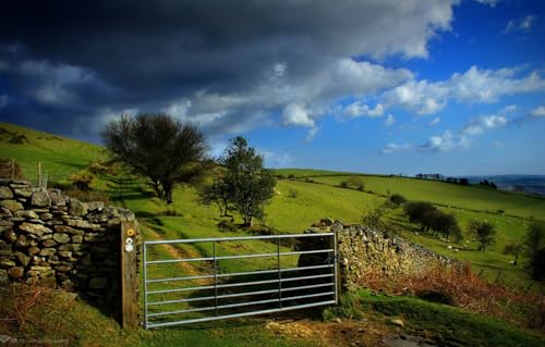 Puzzle für Erwachsene, 500-teiliges Puzzle für Erwachsene, anspruchsvolles Spiel, Feld 52 x 38 cm Puzzle für Erwachsene, 500-teiliges Puzzle für Erwachsene, anspruchsvolles Spiel, Feld 52 x 38 cm von CUREW