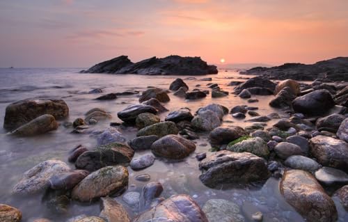 Puzzle für Erwachsene 100 Teile Puzzle 100 Teile für Erwachsene Geschenke, Strand 45,5x35,5CM Puzzle für Erwachsene 100 Teile Puzzle 100 Teile für Erwachsene Geschenke, Strand 45,5x35,5CM von CUREW