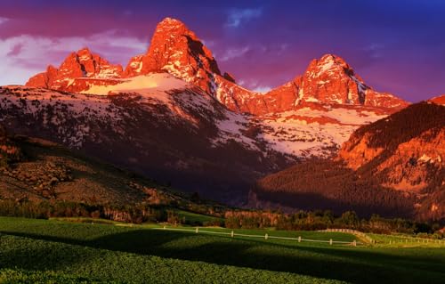 Puzzle für Erwachsene – 1000-teiliges Puzzle für Kinder, USA, Bauernhof, Wyoming, Grand-Teton-Nationalpark, 70 x 50 cm von CUREW