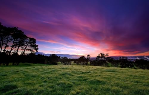 Puzzle für Erwachsene und Kinder, 1000 Teile, anspruchsvolles Spiel, Bäume, Sonnenuntergang, 38 x 26 cm Puzzle für Erwachsene und Kinder, 1000 Teile, anspruchsvolles Spiel, Bäume, Sonnenuntergang, 38 x 26 cm von CUREW