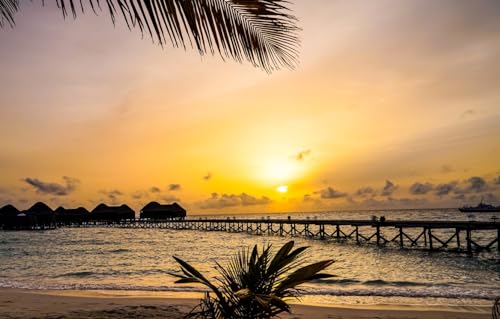 Puzzle mit 100 extra großen Teilen für Erwachsene – Einfache Puzzles für Erwachsene, Puzzle-Geschenk, Meer, Tropen, Pier, Malediven, 45,5 x 35,5 cm Puzzle mit 100 extra großen Teilen für Erwachsene – Einfache Puzzles für Erwachsene, Puzzle-Geschenk, Meer, Tropen, Pier, Malediven, 45,5 x 35,5 cm von CUREW