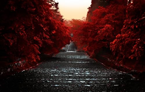 Puzzle mit 100 extragroßen Teilen für Erwachsene – einfache Puzzles für Erwachsene, Puzzle-Geschenk, Japan, Kyoto, Kansai-Region, Präfektur Kyoto, Insel Honshu, Region Kinki, 45,5 x 35,5 cm Puzzle mit 100 extragroßen Teilen für Erwachsene – einfache Puzzles für Erwachsene, Puzzle-Geschenk, Japan, Kyoto, Kansai-Region, Präfektur Kyoto, Insel Honshu, Region Kinki, 45,5 x 35,5 cm von CUREW