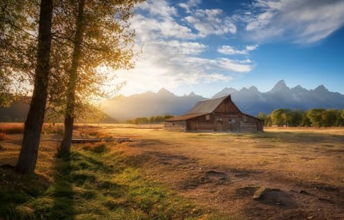 Puzzles für Erwachsene, 500 Teile, Holzpuzzle, Kunstwerk, Puzzle, Wanddekoration, einzigartige Geburtstagsgeschenke, Feld, Bäume, Grand-Teton-Nationalpark, 52 x 38 cm von CUREW