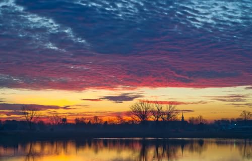 Sammelpuzzle für Erwachsene und Kinder - 100 Teile, Bäume, USA 45,5x35,5CM Sammelpuzzle für Erwachsene und Kinder - 100 Teile, Bäume, USA 45,5x35,5CM von CUREW