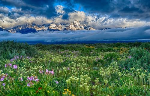 Sammelpuzzle für Erwachsene und Kinder – 1000 Teile, Feld, Schnee, Landschaft, Berge, 38 x 26 cm Sammelpuzzle für Erwachsene und Kinder – 1000 Teile, Feld, Schnee, Landschaft, Berge, 38 x 26 cm von CUREW