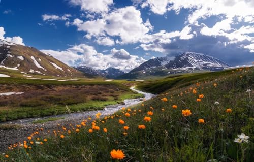 Schwierige Puzzles für Erwachsene – 200-teiliges Puzzle – anspruchsvolle Puzzles, tolles Geschenk für alle Altersgruppen, Berge, Russland, Teich, Altai 35 x 25 cm Schwierige Puzzles für Erwachsene – 200-teiliges Puzzle – anspruchsvolle Puzzles, tolles Geschenk für alle Altersgruppen, Berge, Russland, Teich, Altai 35 x 25 cm von CUREW