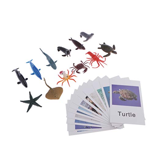 CUTICATE 24-TLG Kinder Montessori Lernspiel, Tierfiguren / Insekte Modell Spielzeugfiguren und Fotokarten Wortschatz-Lernkarten zur Sprachförderung - Meerestiere von CUTICATE