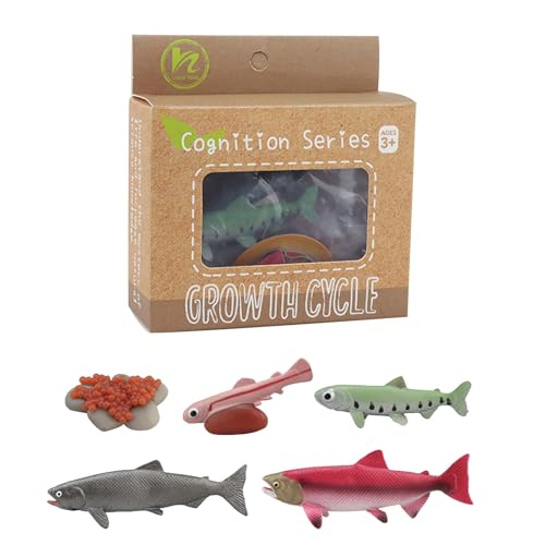 CUTeFiorino 1 Box Biologie-Spielzeug, realistisch, Frosch, Panda, Küken, Schmetterling, Pflanze, Tierfiguren, Lebenszyklus, Lernen, kreatives Spielzeug für im Vorschulalter, (Khaki, One Size) von CUTeFiorino