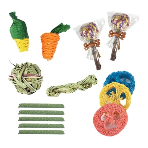 CUTeFiorino 14 stücke Spielzeug Set Holz Luffa Hamster Bunny Spielzeug Aktivität Spielen Unterhaltung Zubehör DIY Handwerk Für Erwachsene Männer (Green, One Size) von CUTeFiorino