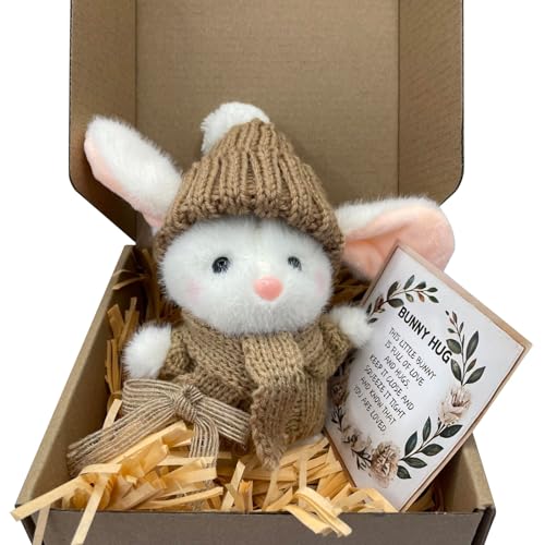 CUTeFiorino Umarmung Osterhase, entzückender gestrickter Hase mit inspirierender Karte, Schreibtischdekoration, handgefertigt, emotionale Unterstützung, positiv für Lehrer, Freunde, (B, One Size) von CUTeFiorino