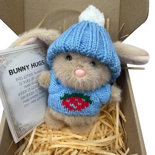 CUTeFiorino Umarmung Osterhase, entzückender gestrickter Hase mit inspirierender Karte, Schreibtischdekoration, handgefertigt, emotionale Unterstützung, positiv für Lehrer, Freunde, (C, One Size) von CUTeFiorino