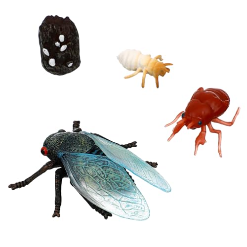 CVUTOVO 1 Satz Cicada Lebenszyklus Figuren Pädagogisches Insektenspielzeug für Realistische Darstellung der Verschiedenen Entwicklungsstadien für Lernzwecke und Geschenktütenfüllung CVUTOVO 1 Satz Cicada Lebenszyklus Figuren Pädagogisches Insektenspielzeug für Realistische Darstellung der Verschiedenen Entwicklungsstadien für Lernzwecke und Geschenktütenfüllung von CVUTOVO