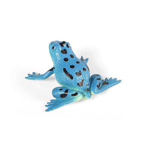 CVUTOVO 12Stücke Teiliges Imitation Frosch Modell zur Angstlinderung Simulierte Form für Stressspielzeug aus Hochwertigem für und Sammlungen von CVUTOVO