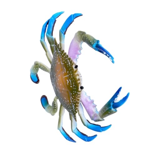 CVUTOVO 1Stück Simulation Modellspielzeug Pädagogisches Unterwasser Tier für Kreative Life Deko für Zuhause und Büro Lehrreiches Fantasie CVUTOVO 1Stück Simulation Modellspielzeug Pädagogisches Unterwasser Tier für Kreative Life Deko für Zuhause und Büro Lehrreiches Fantasie von CVUTOVO