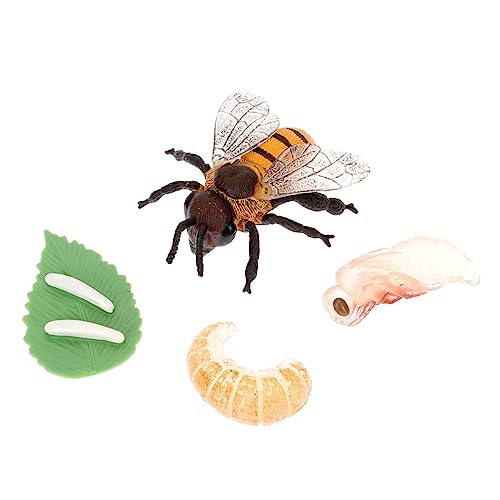 CVUTOVO 1satz Lebenszyklus Miniatur Kleine Tierfiguren Für Lernspielzeug Für Entwicklung Von Naturverständnis Interaktive Montessori-Dekoration Für Eltern-interaktion CVUTOVO 1satz Lebenszyklus Miniatur Kleine Tierfiguren Für Lernspielzeug Für Entwicklung Von Naturverständnis Interaktive Montessori-Dekoration Für Eltern-interaktion von CVUTOVO