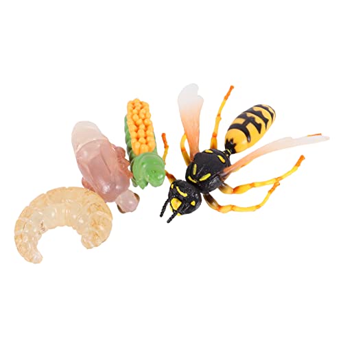CVUTOVO 1satz Wachstumsmodell Für Wespen Teiliges Für Mädchen Kognitive Lernspielzeuge Tierfiguren Verständnisses Lebenszyklus Von Insekten Sicheres Material Für Bildungsspielzeug CVUTOVO 1satz Wachstumsmodell Für Wespen Teiliges Für Mädchen Kognitive Lernspielzeuge Tierfiguren Verständnisses Lebenszyklus Von Insekten Sicheres Material Für Bildungsspielzeug von CVUTOVO