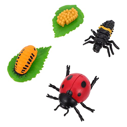 CVUTOVO 4 Stück Teiliges Insekten Wachstumsmodell Lebenszyklus der Marienkäfer Figuren für Pädagogisches Kreativität und Lernen von CVUTOVO