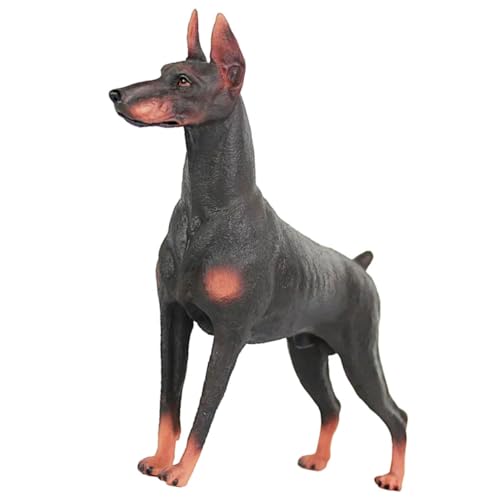 CVUTOVO Dobermann Hundestatue Realistische Simulation für Dekoration Lehrspielzeug Langlebiges Plastik für Haustierliebhaber und Geburtstagsfeiern von CVUTOVO