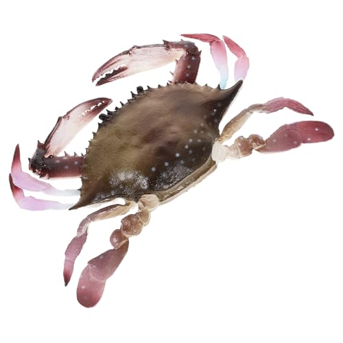 CVUTOVO Lebensechte Krabbenfigur aus Künstliches Meeresbewohner Modell Dekoratives für Kreatives für Raumdekoration CVUTOVO Lebensechte Krabbenfigur aus Künstliches Meeresbewohner Modell Dekoratives für Kreatives für Raumdekoration von CVUTOVO
