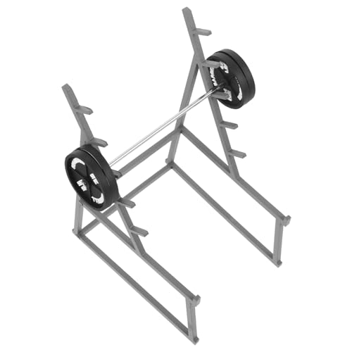 CVUTOVO Mini Barbell Puppenhaus Dekoration Lebensechte Miniatur Hantelspielzeuge Robustes Fitnessmodell für Puppenhaus Geschenk und Fotorequisite Geeignet für Gym Raum und Regal CVUTOVO Mini Barbell Puppenhaus Dekoration Lebensechte Miniatur Hantelspielzeuge Robustes Fitnessmodell für Puppenhaus Geschenk und Fotorequisite Geeignet für Gym Raum und Regal von CVUTOVO