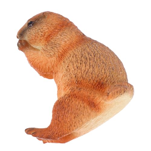 CVUTOVO Realistisches Erdmännchen Modell Künstliche Wildtier Figur für Kreatives und Lernen für Vorstellungskraft und Kognitiver Entwicklung CVUTOVO Realistisches Erdmännchen Modell Künstliche Wildtier Figur für Kreatives und Lernen für Vorstellungskraft und Kognitiver Entwicklung von CVUTOVO