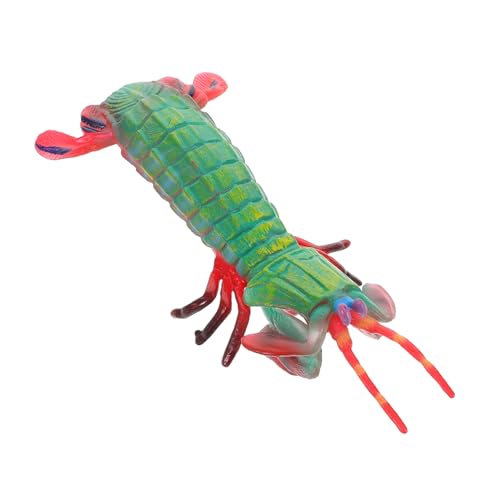 CVUTOVO Realistische Fangschreckenkrebs Figur für Kinder Kognitives Spielzeug Simulation Eines Meerestiermodells Lebensechtes Garnelenmodell Pädagogisches Tierfiguren Spielzeug CVUTOVO Realistische Fangschreckenkrebs Figur für Kinder Kognitives Spielzeug Simulation Eines Meerestiermodells Lebensechtes Garnelenmodell Pädagogisches Tierfiguren Spielzeug von CVUTOVO
