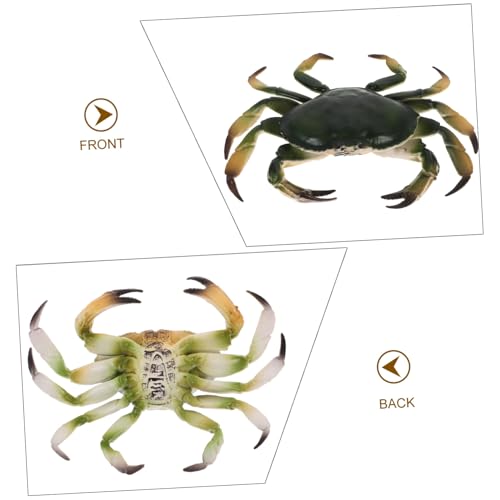CVUTOVO Realistisches Simulations Krabbenmodell Lebensechte Meeresdeko Pädagogisches Tiermodell für Kinderzimmer Garten Aquarium und Lernspielzeug CVUTOVO Realistisches Simulations Krabbenmodell Lebensechte Meeresdeko Pädagogisches Tiermodell für Kinderzimmer Garten Aquarium und Lernspielzeug von CVUTOVO