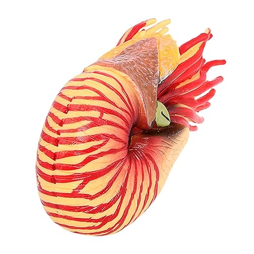 CVUTOVO Simuliertes Nautilus Modell Realistische Meerestiere Figur Dekoration für Fischtank und Kinderzimmer Pädagogisches für Tierarten und Umweltbewusstsein Langlebiges Kunstmaterial CVUTOVO Simuliertes Nautilus Modell Realistische Meerestiere Figur Dekoration für Fischtank und Kinderzimmer Pädagogisches für Tierarten und Umweltbewusstsein Langlebiges Kunstmaterial von CVUTOVO